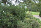 Rannockresidential-landscaping-35.jpg; ?>