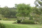 Rannockresidential-landscaping-40.jpg; ?>